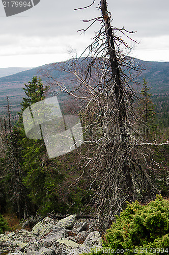 Image of Mountain landscapes in national park Taganai