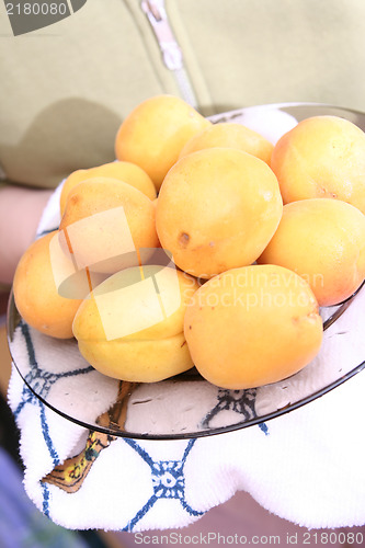 Image of Organic apricots