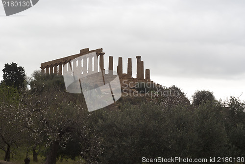 Image of Valley of the Temples, Agrigento