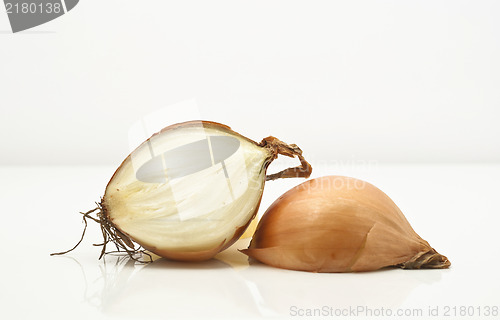 Image of onions isolated on white background