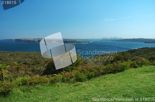 Image of Sydney panorama