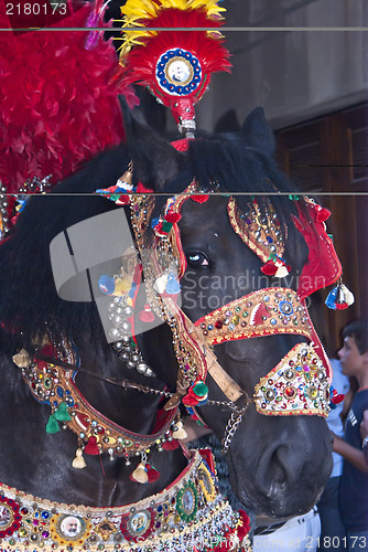 Image of  Folkloristic parade of traditional horse-cars in Sicily 