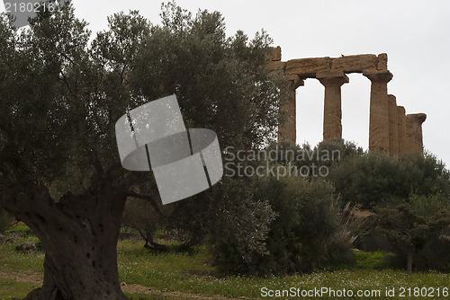 Image of Valley of the Temples, Agrigento