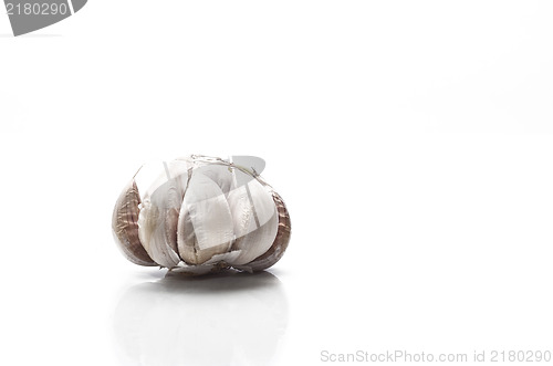Image of Garlic isolated on white background