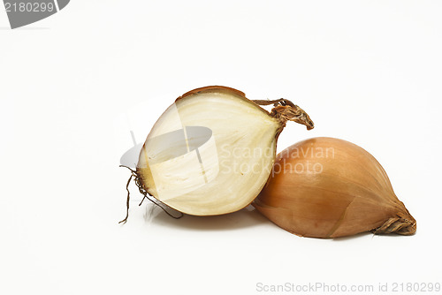 Image of onions isolated on white background