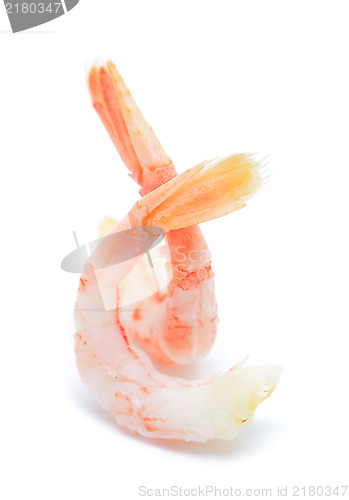 Image of shrimps