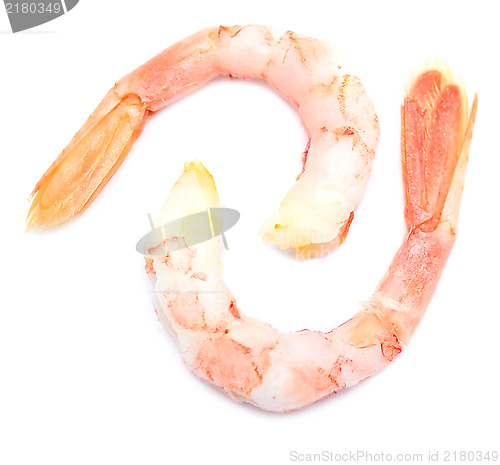 Image of two shrimps