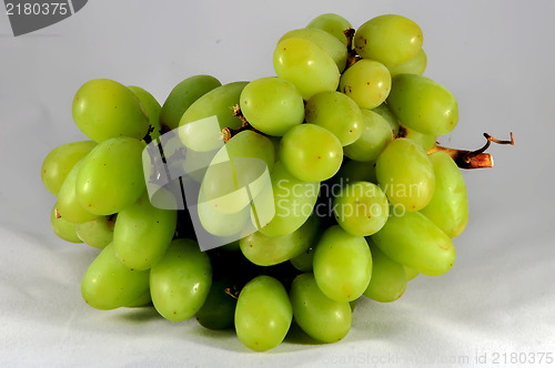 Image of Branch of green grapes isolated on white