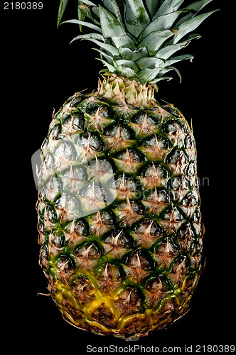 Image of pineapple isolated on black