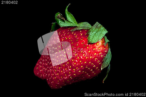Image of fresh red strawberry isolated on a black background