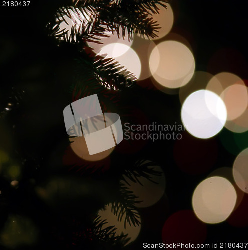 Image of lights blure - bokeh -with evergreen branches