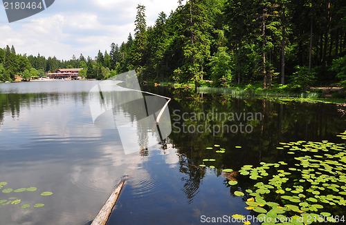 Image of Lake Arber in Bavaria (Grosser Arbersee)