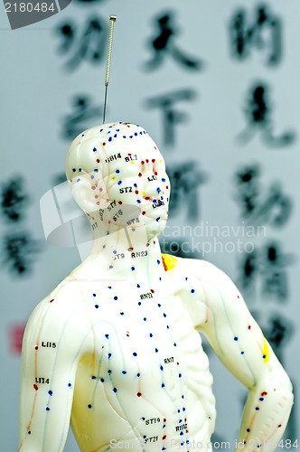 Image of acupuncture demonstration on model 