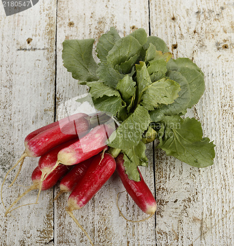 Image of Fresh Radish