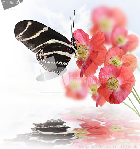 Image of Butterfly And Flowers