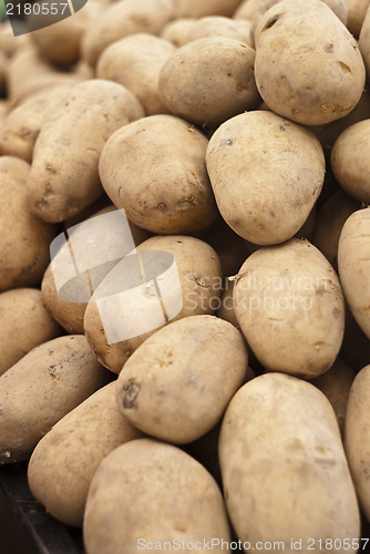 Image of Pile of old potatoes