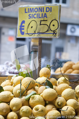 Image of lemons of sicily for sale 