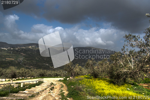 Image of Sebastia archeology ancient ruins