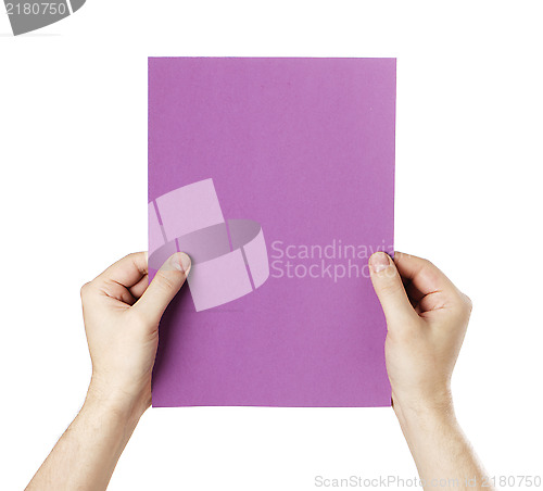 Image of Purple Paper