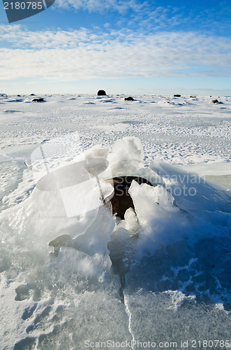 Image of  Stones in the ice on the Baltic Sea coast 