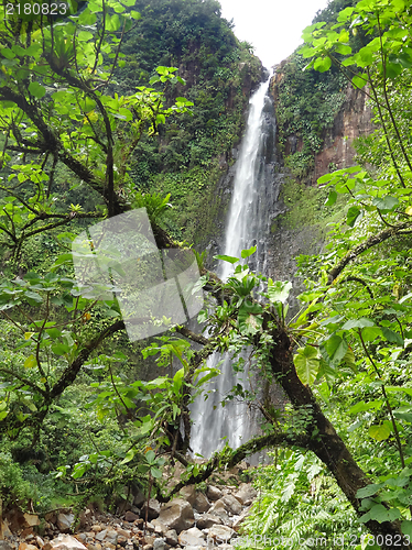 Image of caribbean waterfall