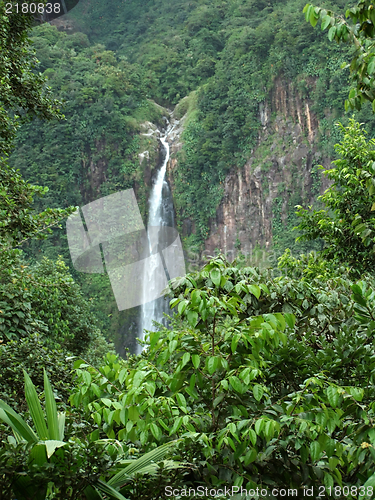 Image of caribbean waterfall