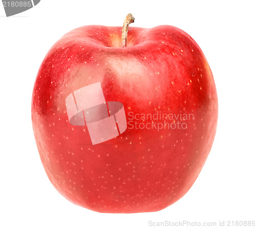 Image of Single fresh red apple