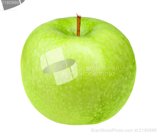 Image of Single fresh green apple