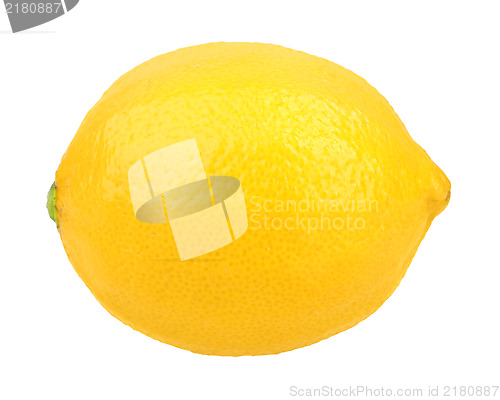 Image of Single fresh yellow lemon