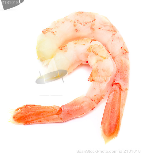 Image of shrimps