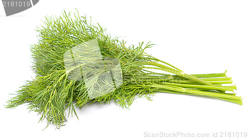 Image of fresh dill