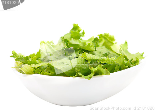 Image of lettuce