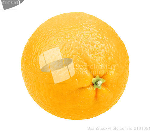 Image of Fresh fruit of orange