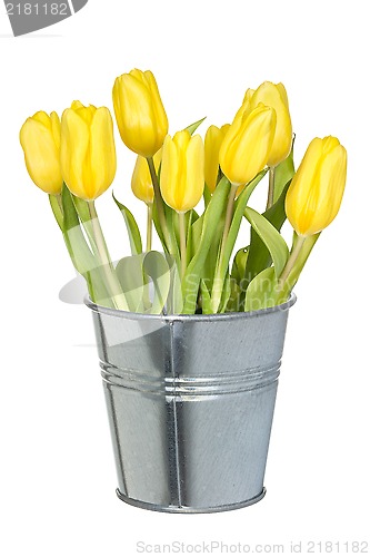 Image of Full bucket of yellow tulips