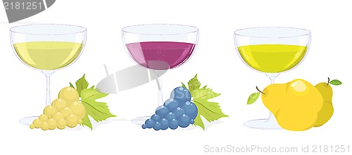 Image of glasses with grape and fruit wines. vector set