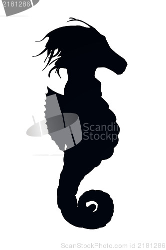 Image of Silhouette seahorse