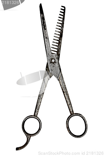 Image of vintage barber scissors