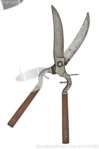 Image of vintage poultry shears