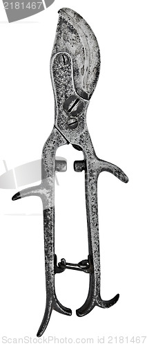 Image of vintage pruning shears