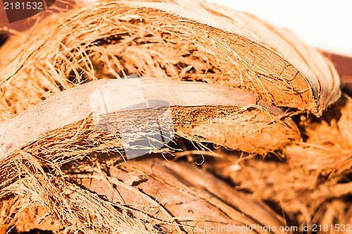 Image of Coconut fiber 