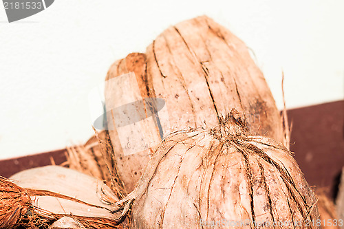 Image of Coconut fiber 