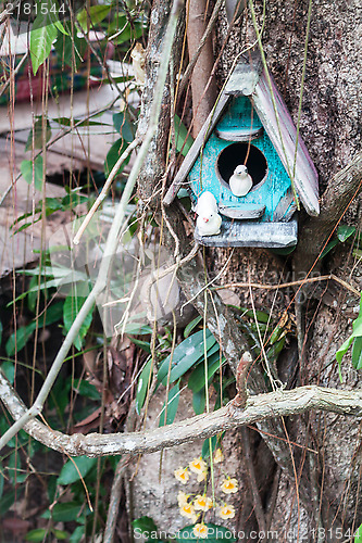 Image of Wooden bird house and yellow wild orchid