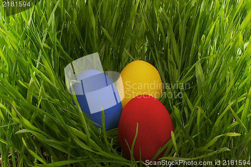 Image of Easter eggs in the grass.