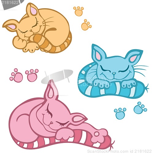 Image of sleeping cat