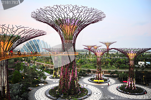 Image of Gardens by the Bay at dusk