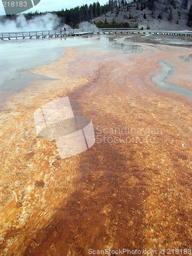 Image of Hot Geyser