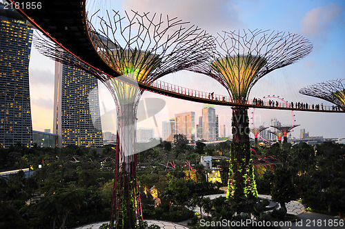 Image of  Gardens by the Bay