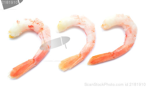 Image of shrimps