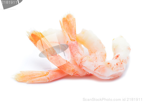 Image of shrimps