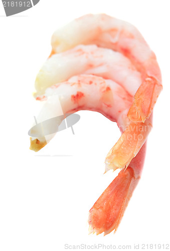 Image of shrimps